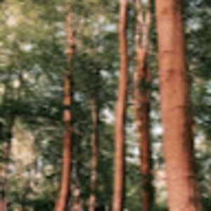 Meet your Posher, Isabella